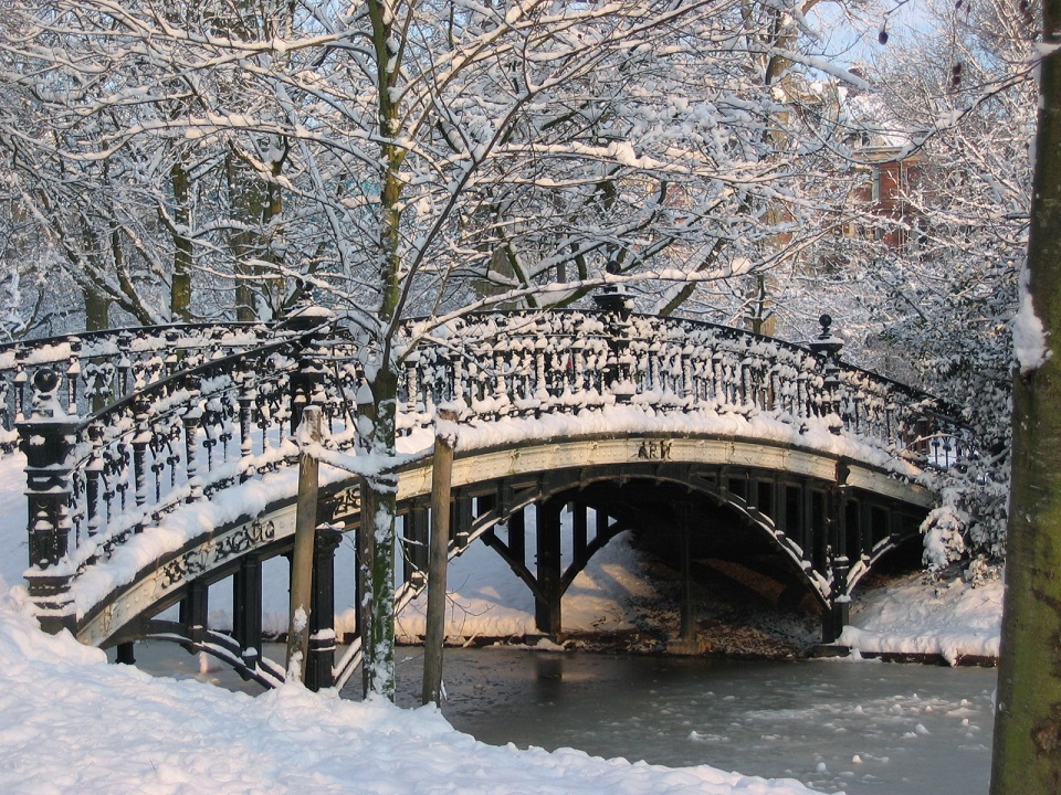winter in the park